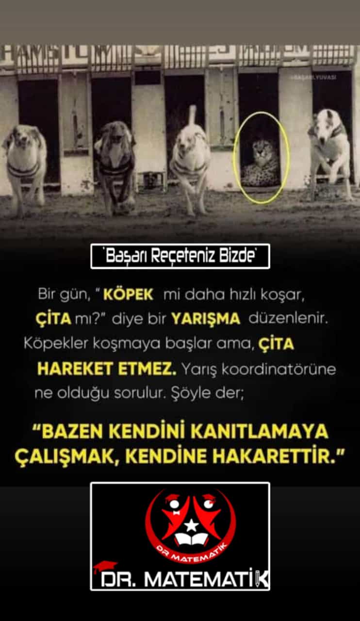 1 ekstralar (18).jpg